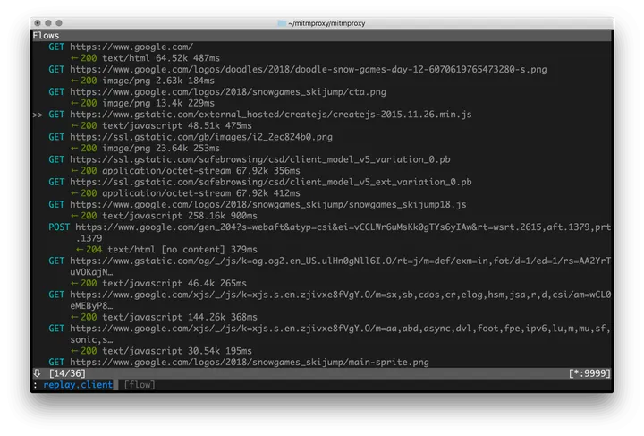 mitmproxy-Screenshot