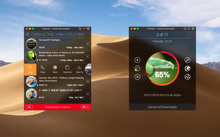 Pulltube screenshot